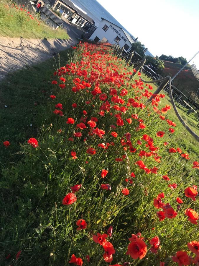 Vila Botanikerns Hus Löderup Exteriér fotografie