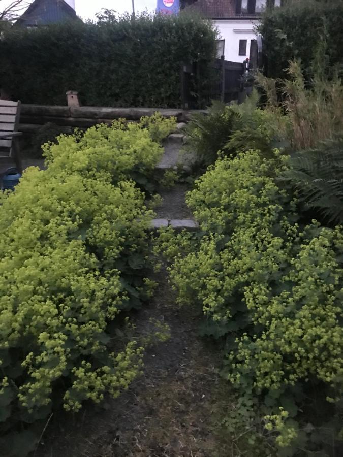Vila Botanikerns Hus Löderup Exteriér fotografie