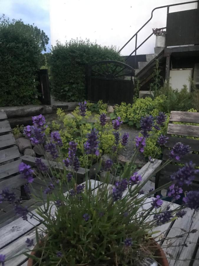 Vila Botanikerns Hus Löderup Exteriér fotografie